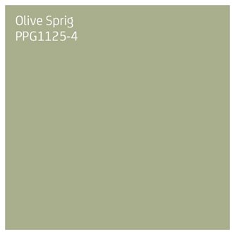 Kleur van het Jaar 2022: Kom tot rust Olive Sprig Sigma.be